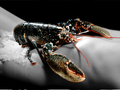 Storytelling door beelden - Jouw lichaam als een meesterlijk kunstwerk vastgelegd in tijdloze fotografie