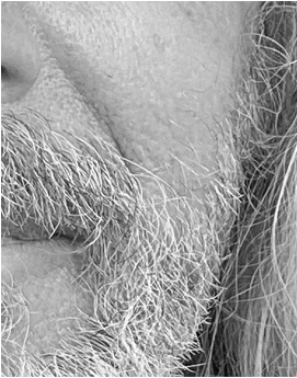 Fine-Art album in de maak – een gouden herinnering vereeuwigd in verfijnde details